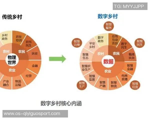 凤凰重生与斯沃普的对决探讨未来数字资产的创新与挑战