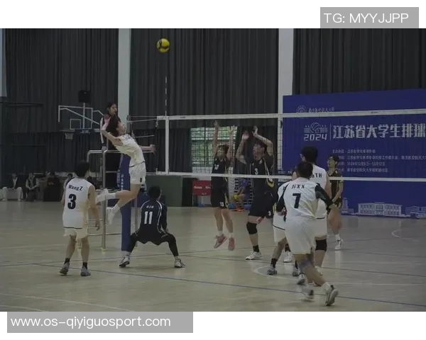 广州排球队的节奏与魅力探讨：排球运动的激情与团队精神